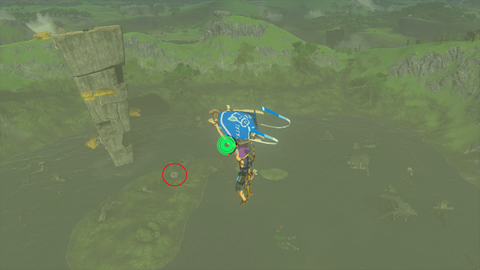 zelda tears of the kingdom susub shrine