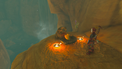 zelda tears of the kingdom suariwak shrine yiga clan exam