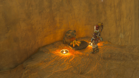zelda tears of the kingdom suariwak shrine yiga clan exam