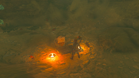 zelda tears of the kingdom suariwak shrine yiga clan exam