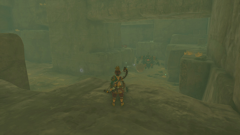 zelda tears of the kingdom suariwak shrine yiga clan exam