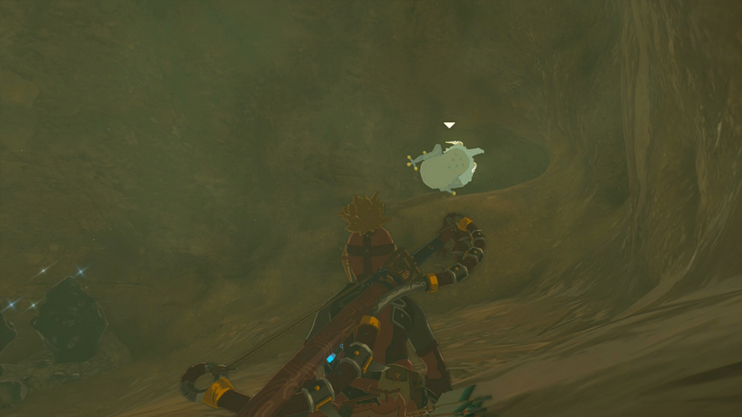 zelda tears of the kingdom suariwak shrine yiga clan exam