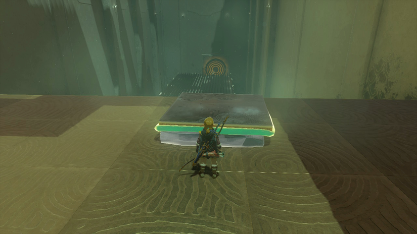 zelda tears of the kingdom mayanas shrine the south lanayru sky crystal the ice guides you