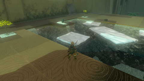 zelda tears of the kingdom mayanas shrine the south lanayru sky crystal the ice guides you