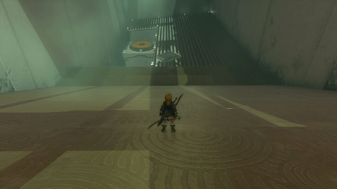 zelda tears of the kingdom mayanas shrine the south lanayru sky crystal the ice guides you