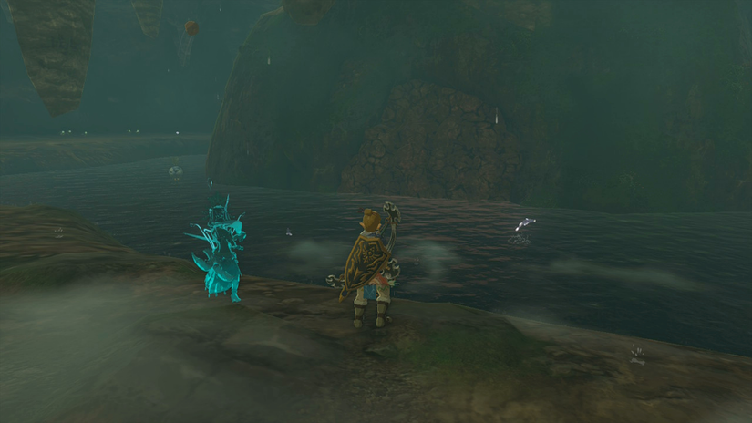 zelda tears of the kingdom jogou shrine