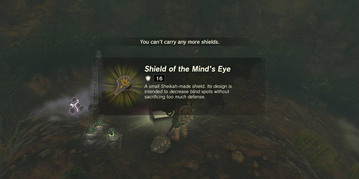 Shield Of The Mind’s Eye