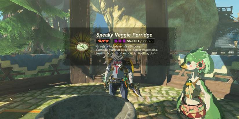 Tears of the Kingdom Sneaky Veggie Porridge