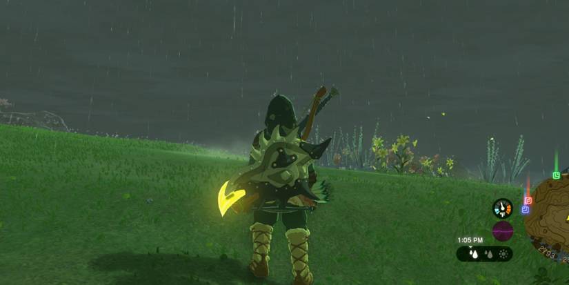 Tears of the Kingdom Steel Lizal Shield