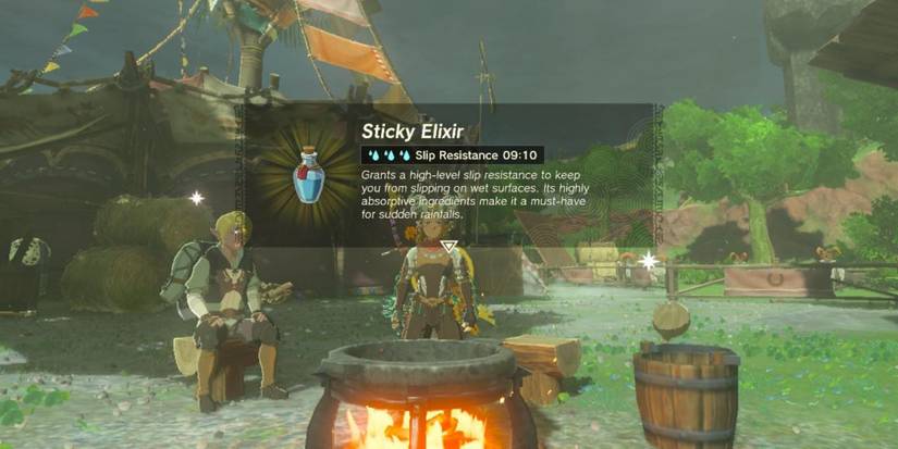 Tears of the Kingdom Sticky Elixir