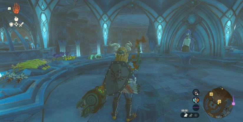 Tears of the Kingdom Zora's Domain General Store