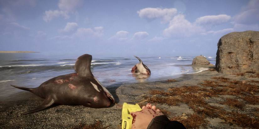 The Forest And Sons Of The Forest dead whales