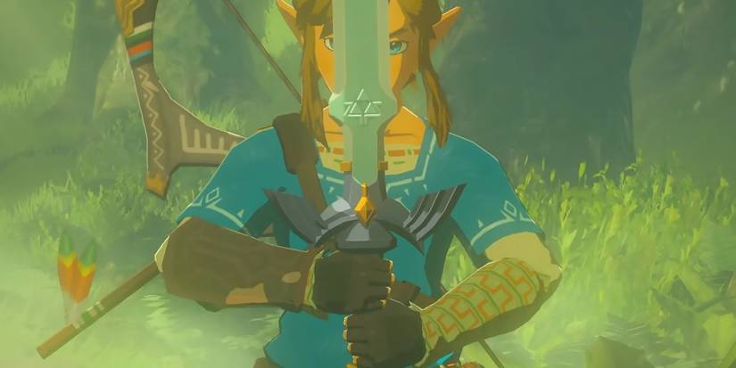 The Legend of Zelda Tears of the Kingdom TOTK Link holding Master Sword