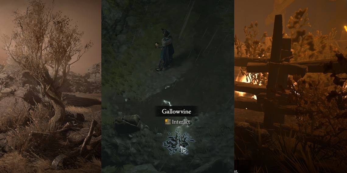 Diablo 4: Cómo cultivar Viña del Callejón (y por qué es importante)