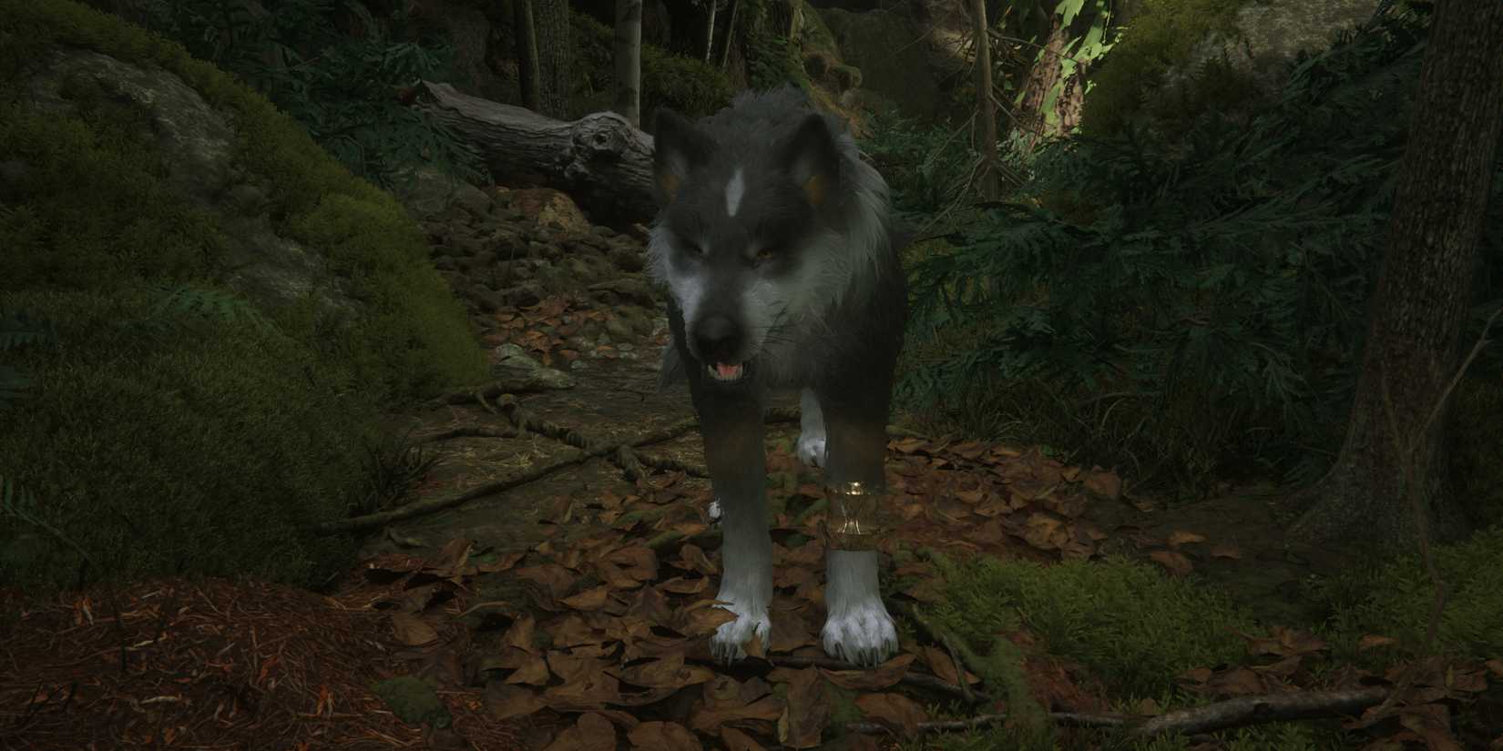 Torgal in Final Fantasy 16