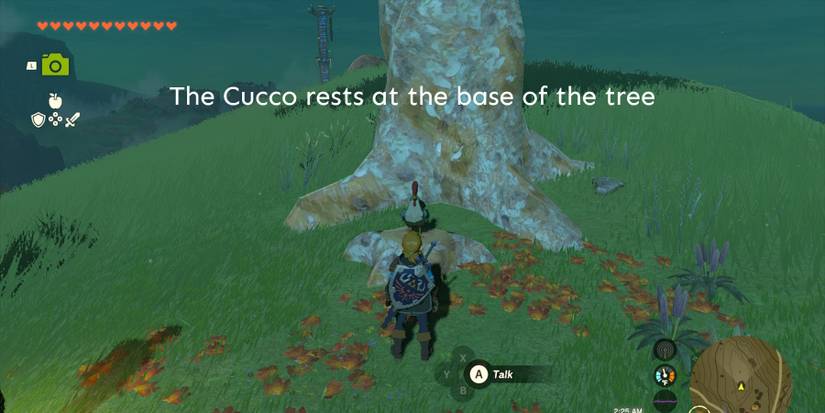 TotK-All-Clucking-Cucco-The-Cucco