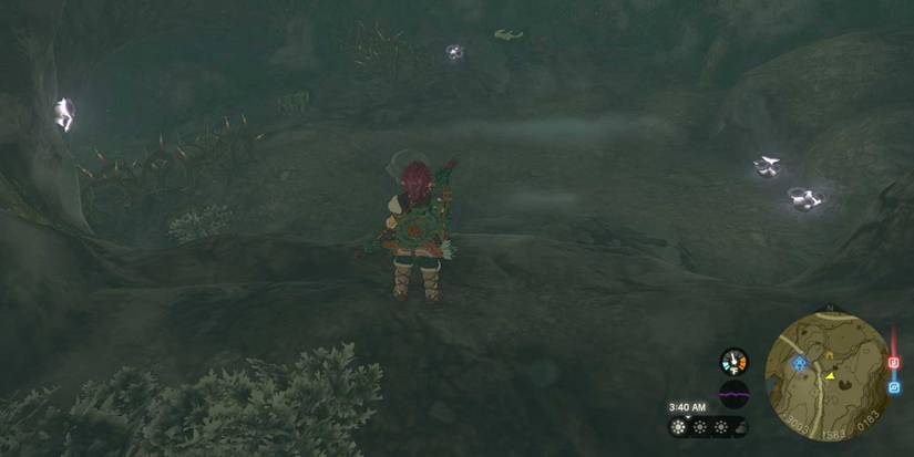 Cave Mushrooms That Grow quest in Tears of the Kingdom.