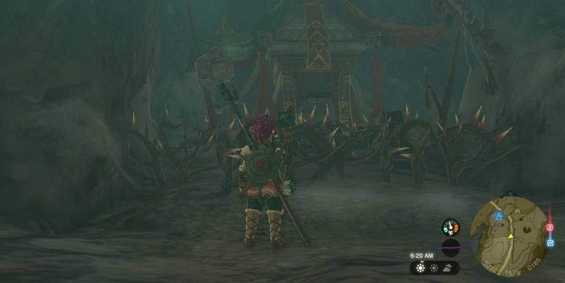 Cave Mushrooms That Glow Quest in Tears of the Kingdom.