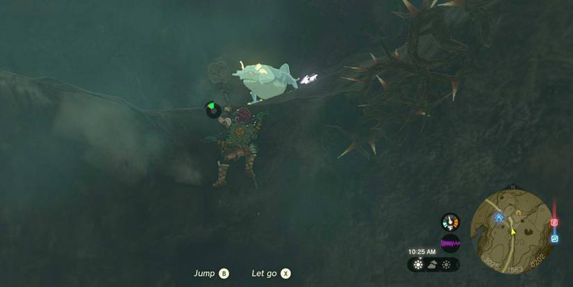 Cave Mushrooms That Glow quest in Tears of the Kingdom.