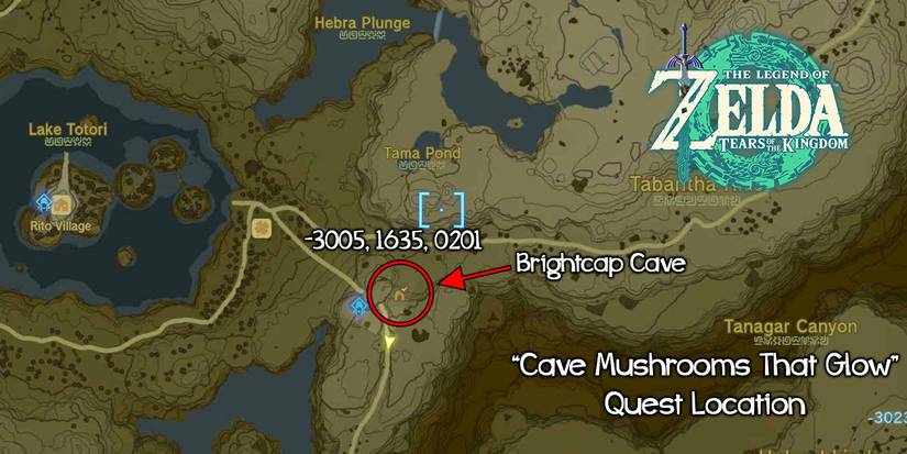 Cave Mushrooms That Glow quest in Tears of the Kingdom.