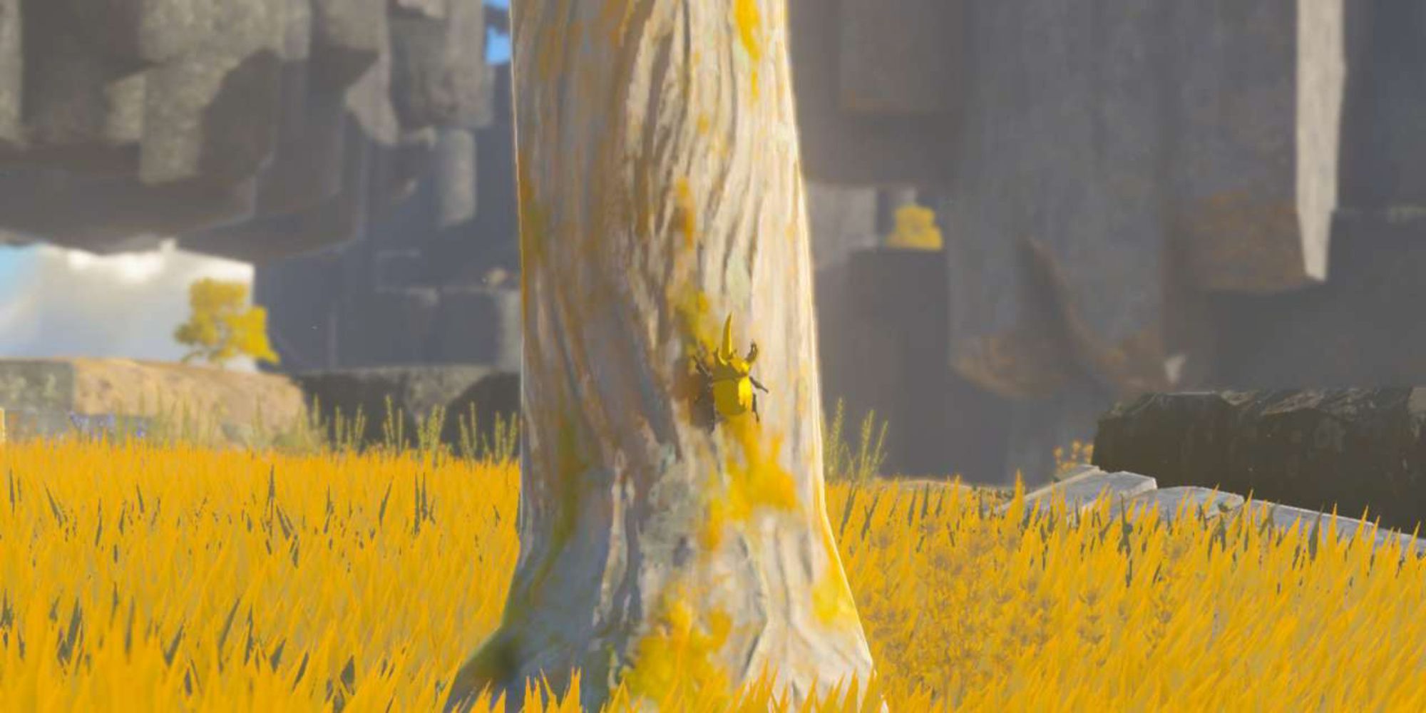 Unleash the Power of Zelda: Mastering Energetic Rhino Beetles