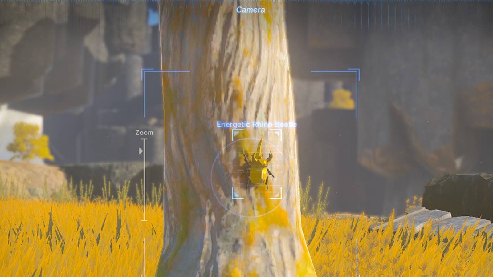 TotK-ERB-Compendium-Shot