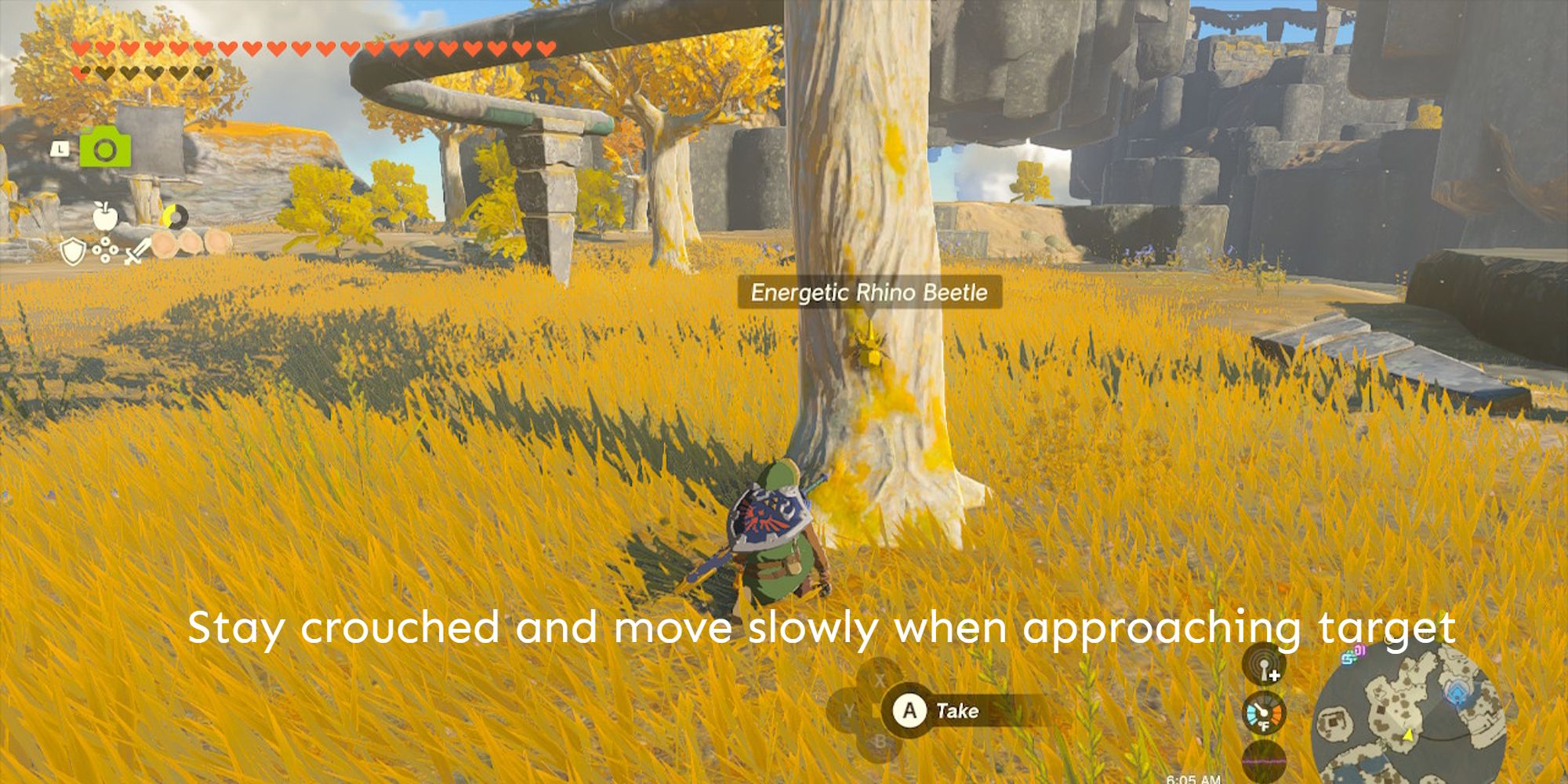 Unleash the Power of Zelda: Mastering Energetic Rhino Beetles