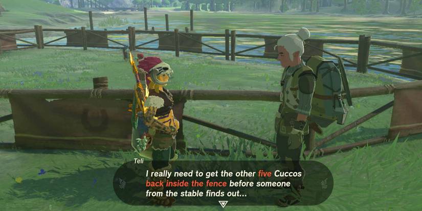 Feathered Fugitives Quest in The Legend of Zelda: Tears of the Kingdom.