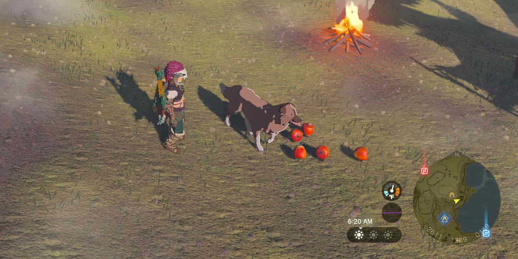 Feeding the dog for Misko's Cave of Chests in The Legend of Zelda: Tears of the Kingdom.