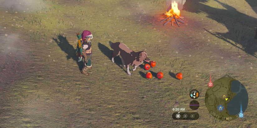 Feeding the dog for Misko's Cave of Chests in The Legend of Zelda: Tears of the Kingdom.