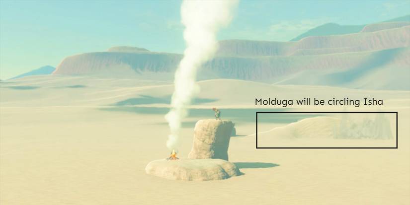 TotK-Missing-Owner-Finding-Isha