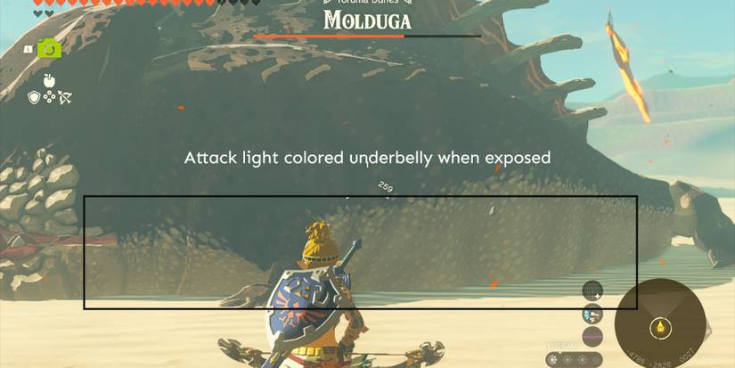 TotK-Molduga-Underbelly
