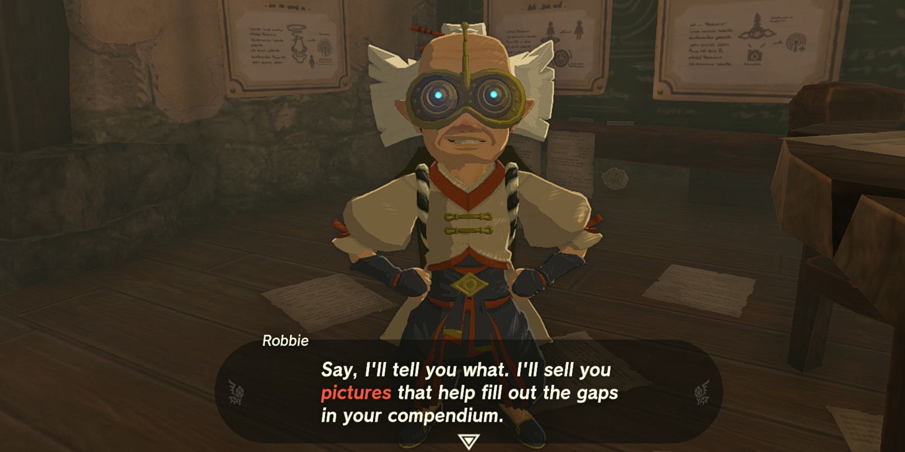 Robbie selling photos in Zelda: Tears of the Kingdom.