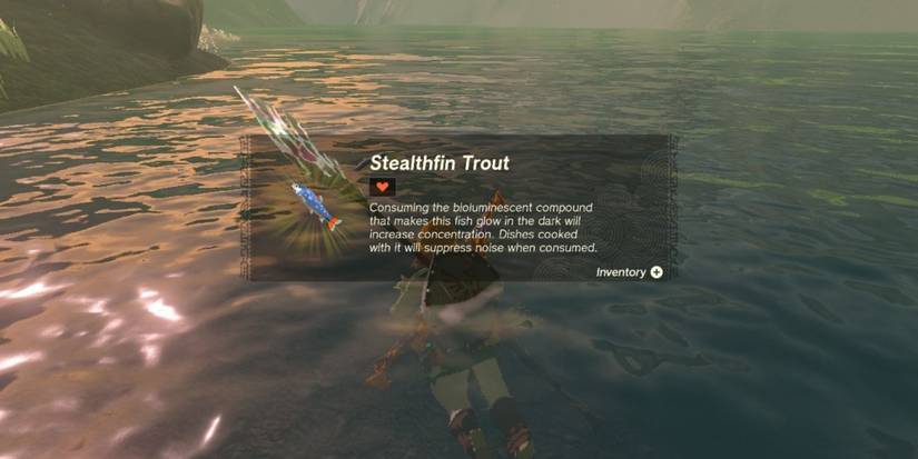 totk tears of the kingdom stealthfin trout info