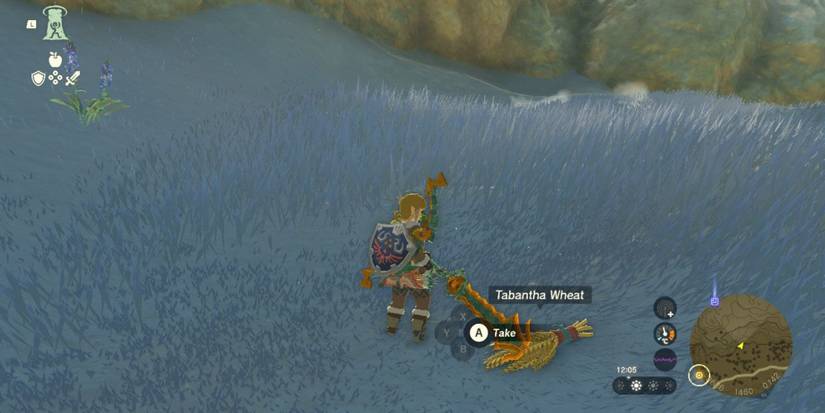 totk tears of the kingdom tabantha wheat get