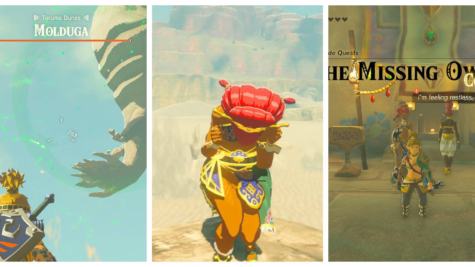 TotK-The-Missing-Owner-Featured