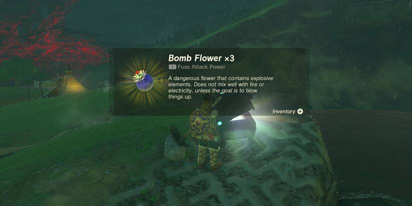 The Treasure Hunters quest in Zelda: Tears of the Kingdom.