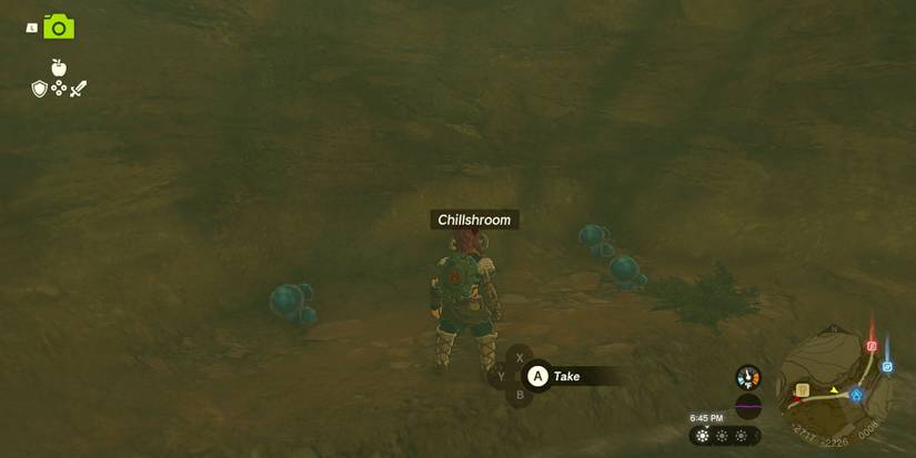 The Blocked Well quest in Zelda: Tears of the Kingdom.