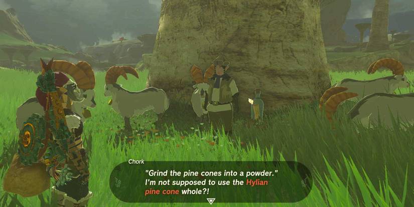 White Goats Gone Missing quest in Zelda: Tears of the Kingdom.
