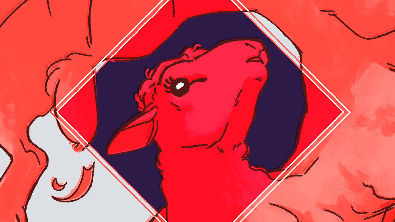 Triangle Agnecy Lamb