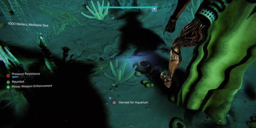 twilight flora location in Destiny 2