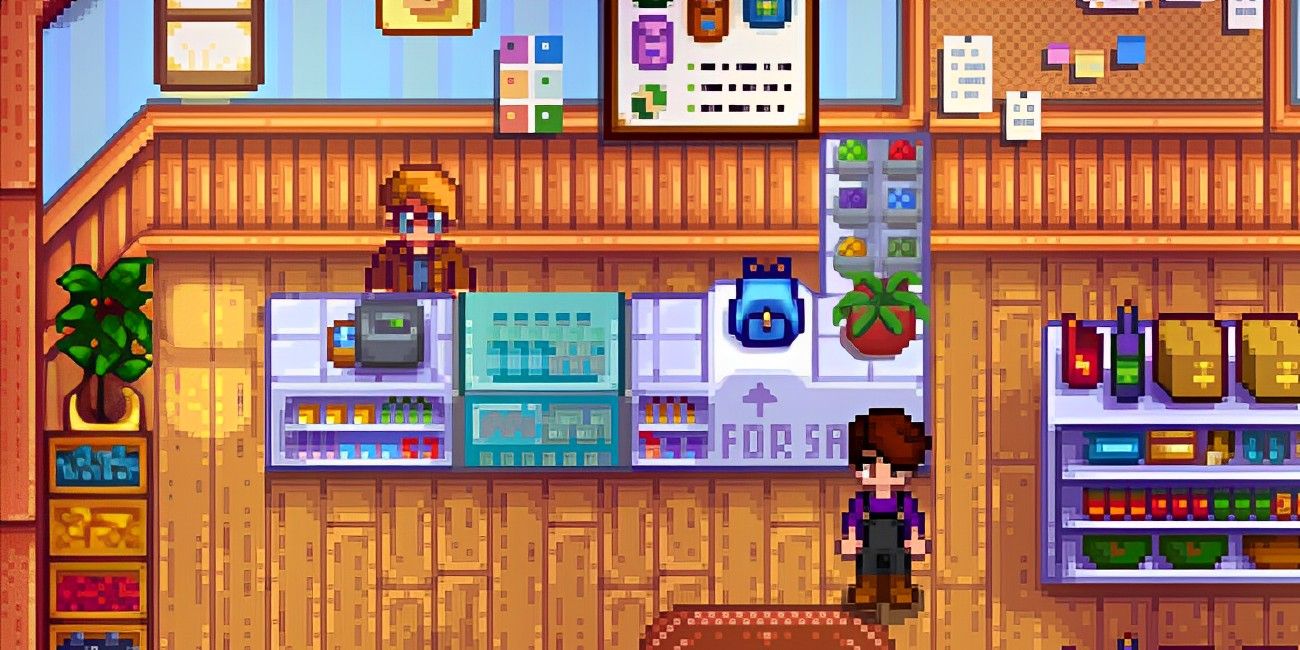 A farmer standing in front of a bag upgrade in Pierre's shop