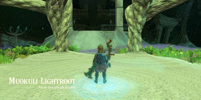 z-totk-new-item-dupe-glitch-lightroot