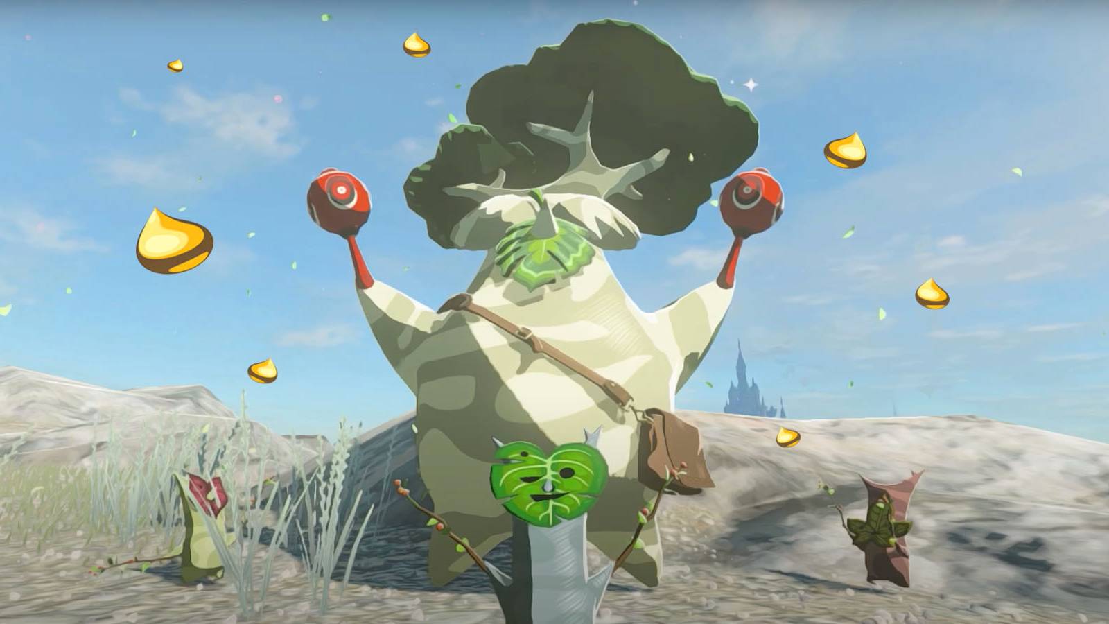 zelda-tears-of-kingdom-what-to-do-with-korok-seeds