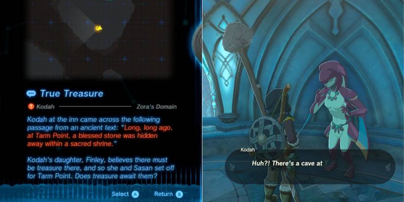 Zelda Tears of the Kingdom True Treasure