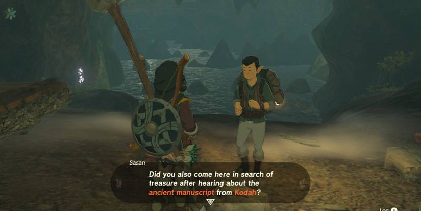 Zelda Tears of the Kingdom Tarm Point Cave