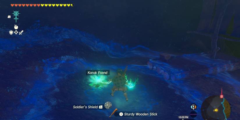 Zelda Tears of the Kingdom Fuse