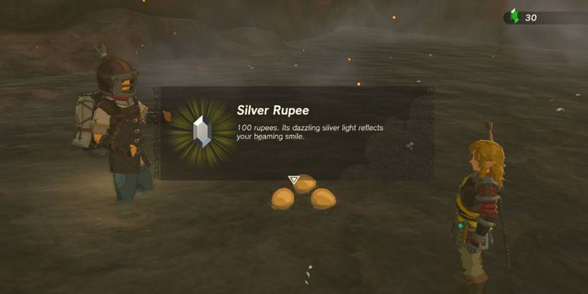 Zelda Tears of the Kingdom