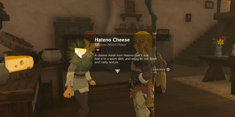 Zelda Tears of the Kingdom