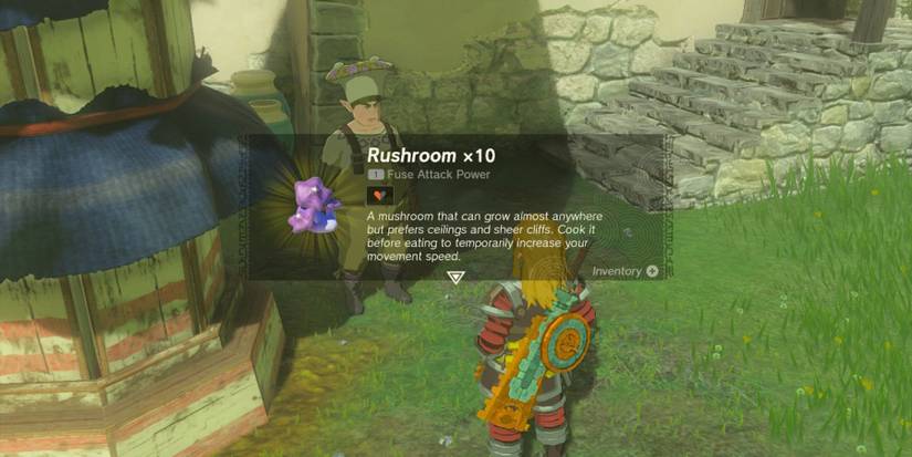 Zelda Tears of the Kingdom